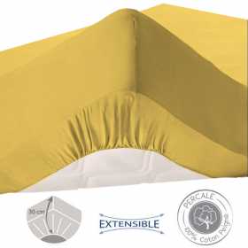 drap housse bonnets 30 cm curry 140x190